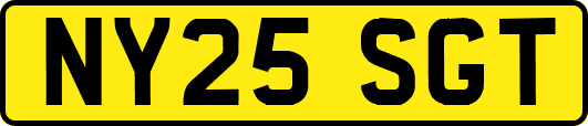NY25SGT