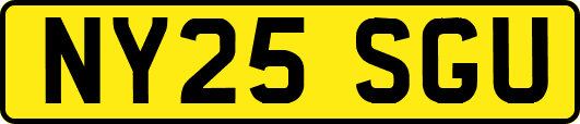 NY25SGU