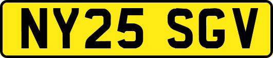 NY25SGV