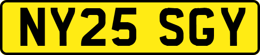 NY25SGY
