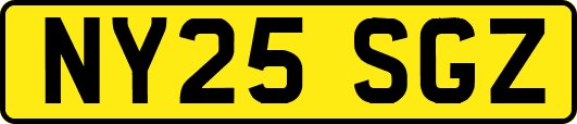NY25SGZ
