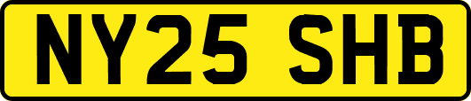 NY25SHB