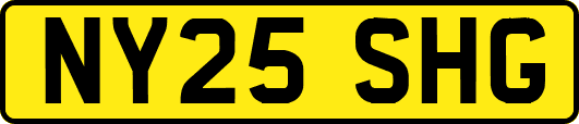 NY25SHG