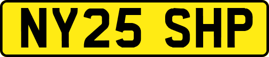 NY25SHP