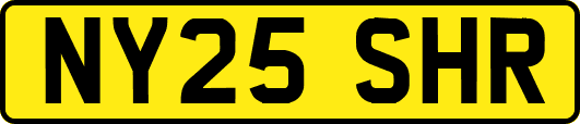 NY25SHR