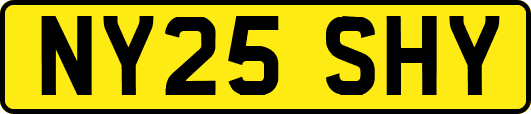NY25SHY