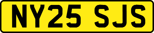 NY25SJS