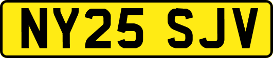 NY25SJV