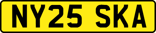 NY25SKA