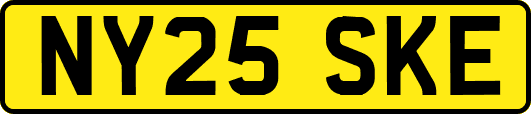 NY25SKE