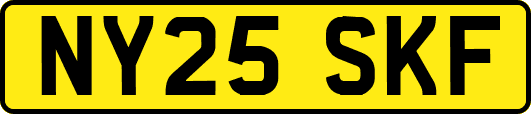 NY25SKF