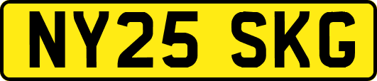 NY25SKG