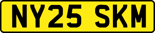 NY25SKM