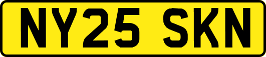NY25SKN