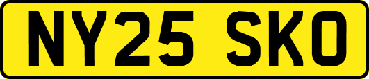 NY25SKO