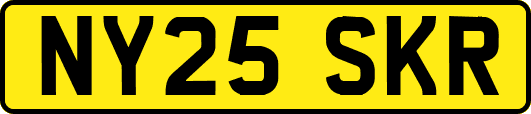 NY25SKR