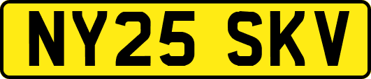 NY25SKV