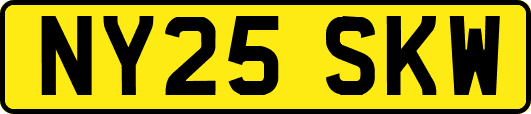 NY25SKW