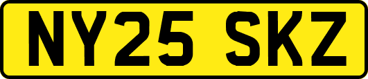 NY25SKZ