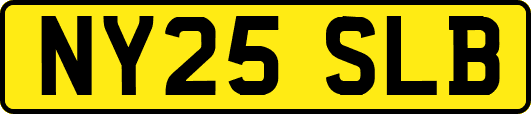 NY25SLB