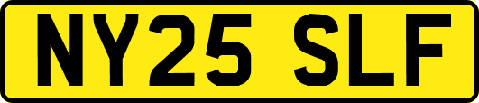 NY25SLF