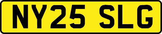 NY25SLG