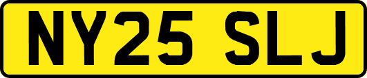 NY25SLJ