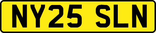 NY25SLN