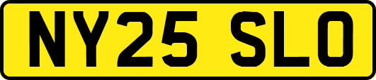 NY25SLO