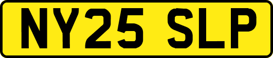 NY25SLP