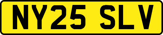 NY25SLV