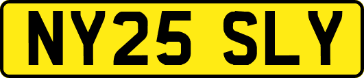 NY25SLY