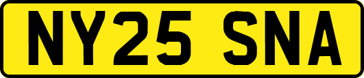 NY25SNA