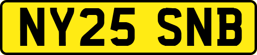 NY25SNB