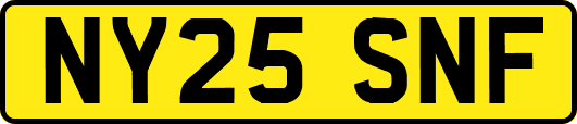 NY25SNF