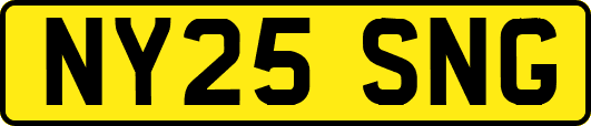 NY25SNG