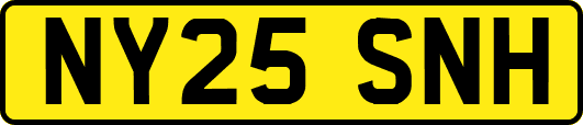 NY25SNH