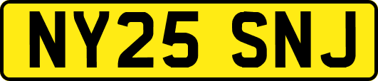 NY25SNJ