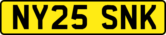 NY25SNK