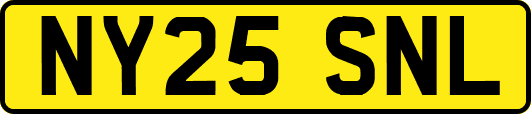 NY25SNL