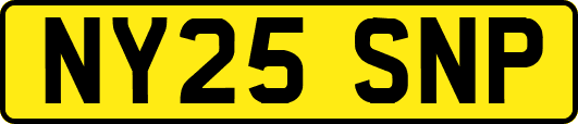 NY25SNP