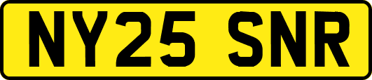 NY25SNR