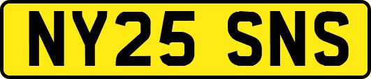 NY25SNS