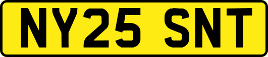NY25SNT