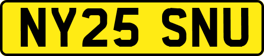 NY25SNU