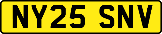 NY25SNV