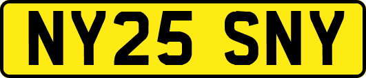 NY25SNY