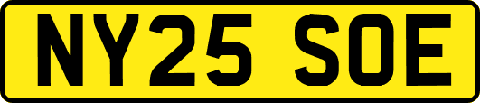 NY25SOE