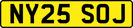 NY25SOJ