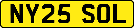 NY25SOL